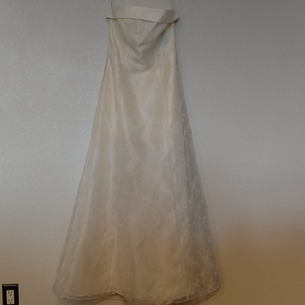 Pale Yellow floor length gown